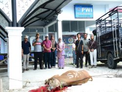 Wakil Bupati Kampar Saksikan Penyembelihan Hewan Qurban di Sekretariat PWI Kampar